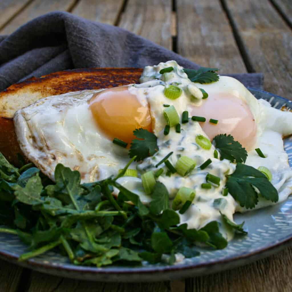 Fried Eggs with Miso Creme Fraiche. Finished with scallions and chives. served over sourdough bread and a side salad. Feast Local. Photographed on a blue and white plate.