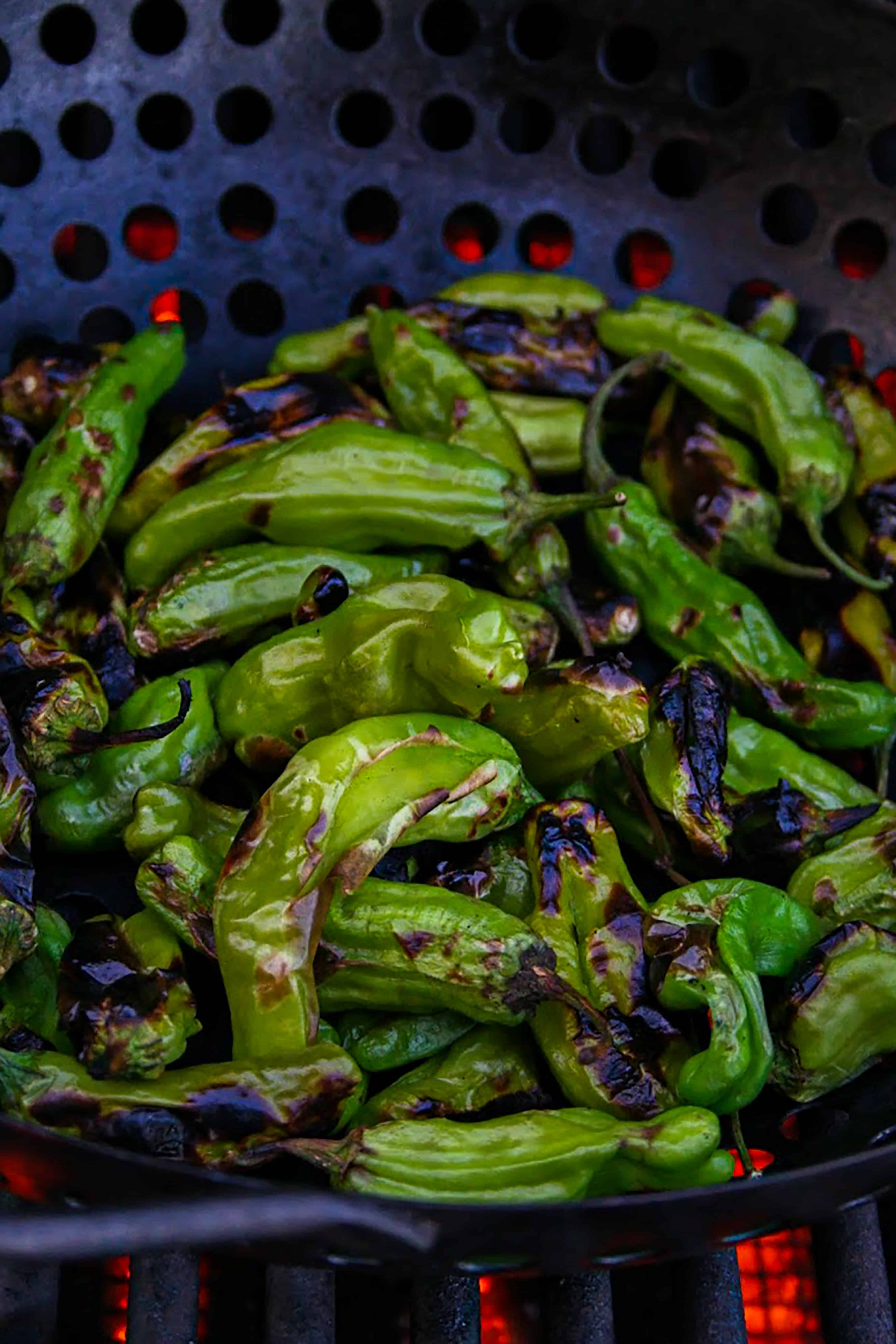 Blistered and charred shishito peppers cooked on the grill.