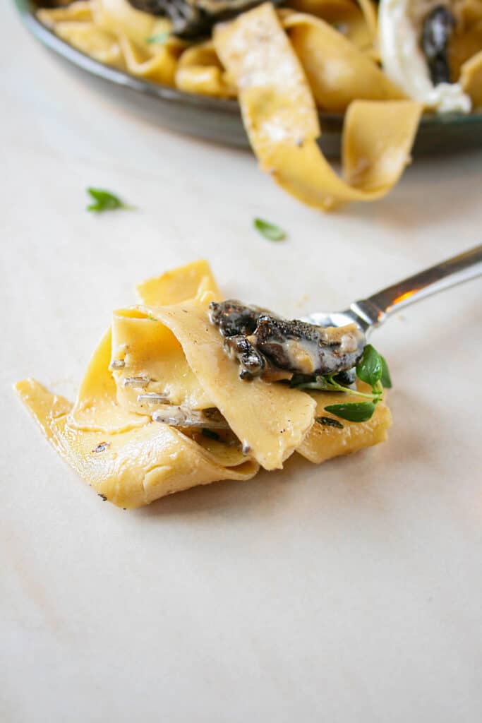 Photograph of Creamy Mushroom Pasta with Burrata. Pasta on a spoon.