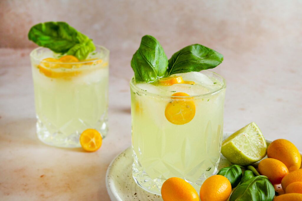 hero shot of kumquat basil gin and tonic with basil leaves garnish