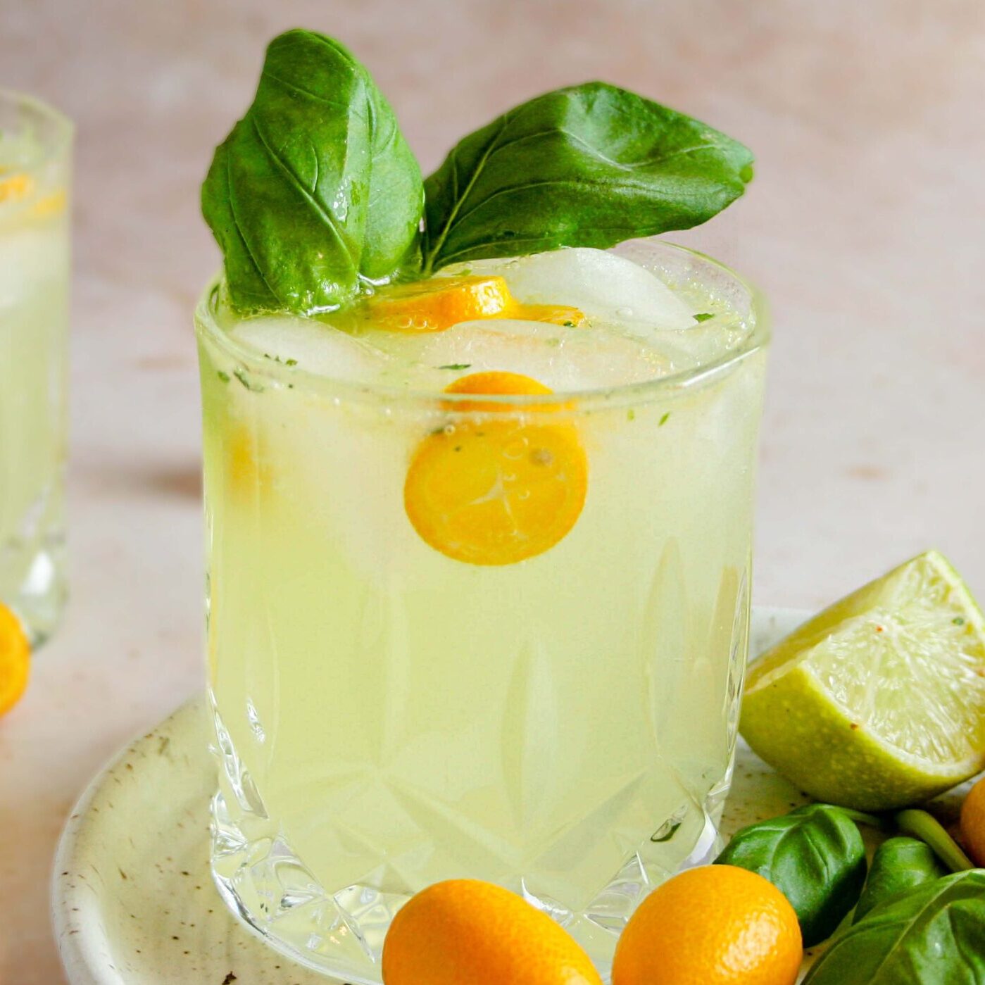 Kumquat Basil Gin & Tonic